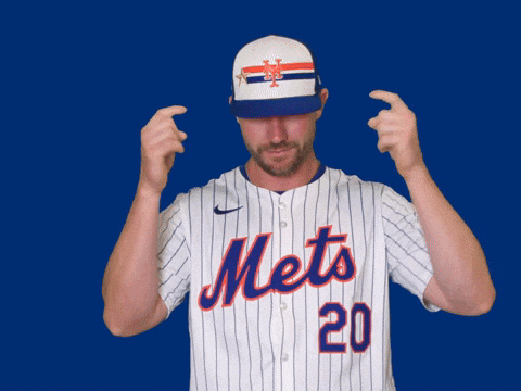New York Mets Sport GIF by MLB