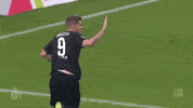 milos jojic celebration GIF by 1. FC Köln