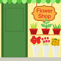 Girl Love GIF by Pudgy Penguins