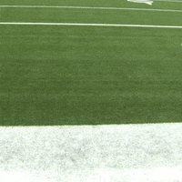 Cameron Jordan Touchdown Dance GIF by New Orleans Saints