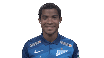 Sport Soccer Sticker by Zenit Football Club