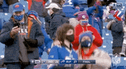 Happy National Football League GIF by NFL