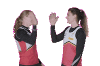sportvlaanderen high five kayak kajak teambelgium Sticker