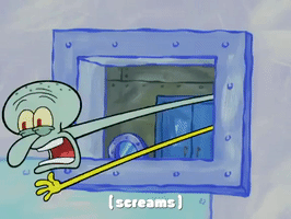 season 4 GIF by SpongeBob SquarePants