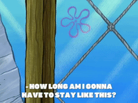 season 7 episode 22 GIF by SpongeBob SquarePants