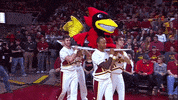 surfboard cy GIF by CyclonesTV