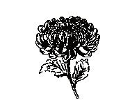 Flower 花 Sticker