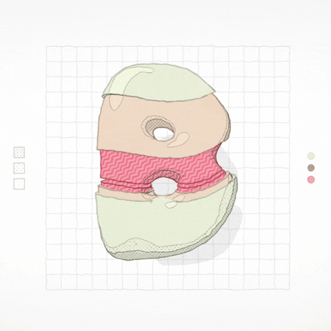 mocion loop typography abstract lettering GIF