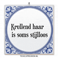 Humor Troost GIF by Tegelspreuken.nl