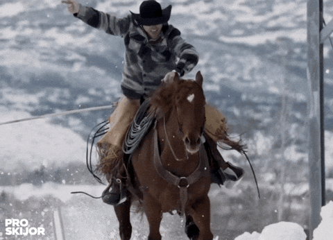 proskijor giphyupload horse skiing horses GIF