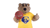 College Sports Sport Sticker by WVU Tech Golden Bears