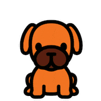 Sorry Forgive Me Sticker