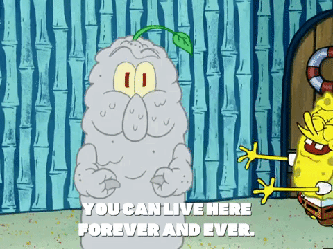 season 4 GIF by SpongeBob SquarePants