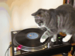 vinyl GIF