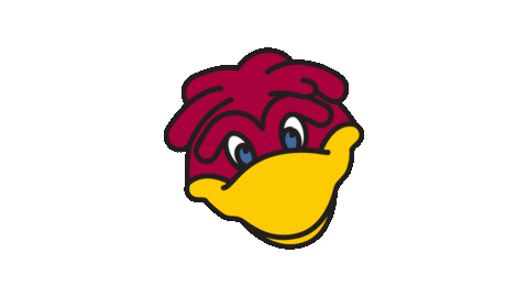 Give South Carolina Sticker by University of South Carolina