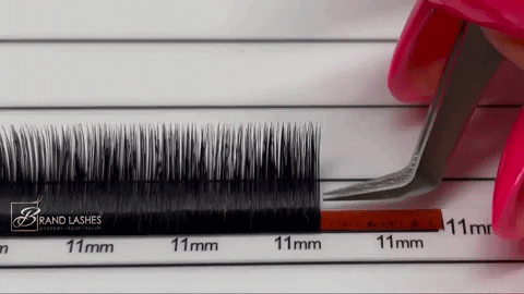 GIF by BrandLashes