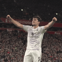 Premier League Win GIF by Manchester United