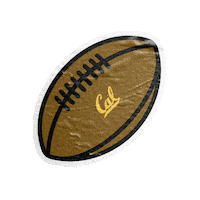 College Football Sticker by Cal Athletics
