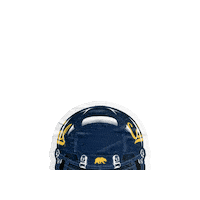 Uc Berkeley Nfl Sticker by Cal Athletics