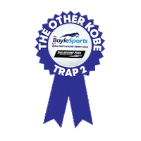 Irish Greyhound Derby Sticker by Go Greyhound Racing