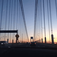 GIF by Tiffany