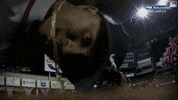 Staring World Series GIF by MLB