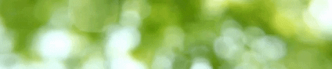 lindabau giphyupload GIF