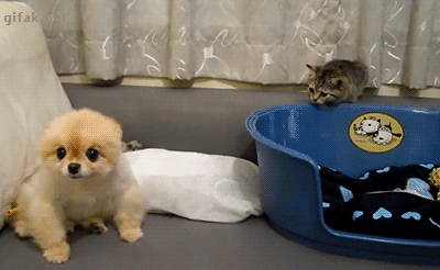 GIF by Demic