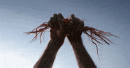 the lion king GIF by Walt Disney Studios