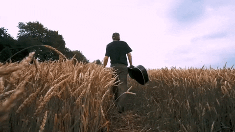 Guitar Country GIF by Owen Riegling