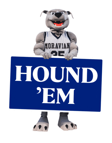 Amos Hounds Sticker by Moravian University