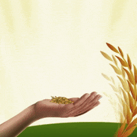 GIF by sbcltr