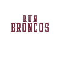 Go Broncos Sticker by Santa Clara Broncos