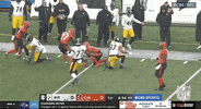 National Football League GIF by NFL