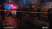 Season 21 Nbc GIF by Law & Order