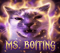 Cat Meme GIF