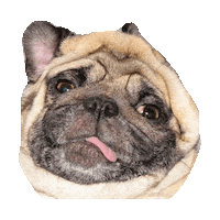 drunk sick GIF by imoji