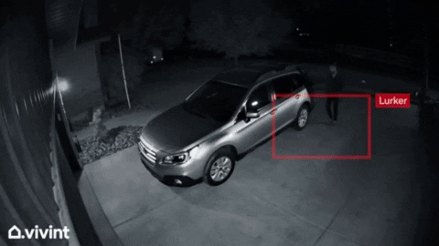 Security Background