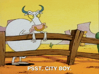 rockos modern life nicksplat GIF