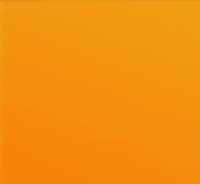 Shib Coin GIF by SHIB MEMES