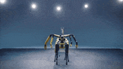 BostonDynamics spot boston dynamics spot dancing boston dynamics dancing GIF