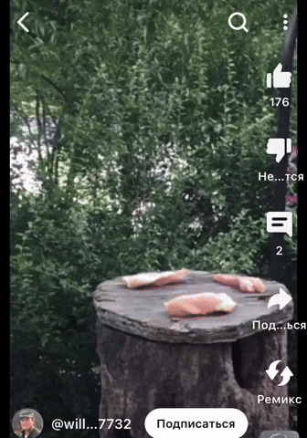 eruewyrigsafigsifgsifjgb giphyupload GIF