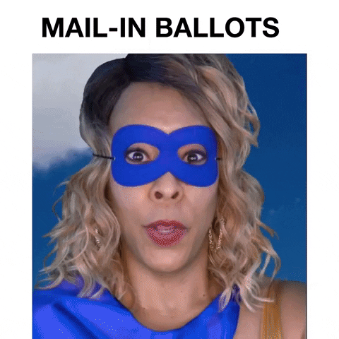 Voting Election 2020 GIF by Holly Logan