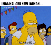 Homer Simpson Omg GIF by Imaginal Biotech