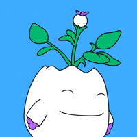 Well Done Win GIF by Magic Eden