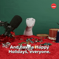 Merry Christmas GIF by BuzzFeed