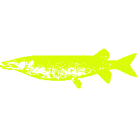 Fish Fishing Sticker by Beast Lure Co.