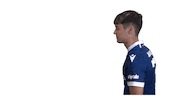 Soccer Bundesliga Sticker by Karlsruher SC