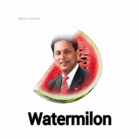 Melon GIF