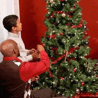 Christmas Tree GIF by TWO MEN AND A TRUCK®